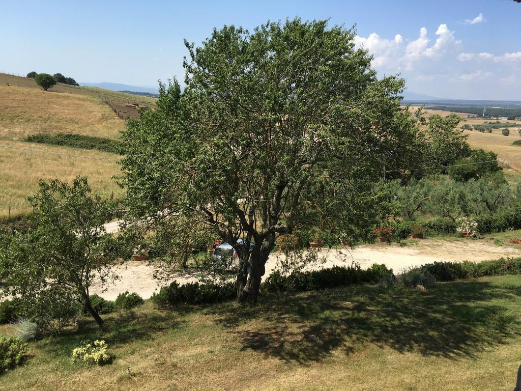 Terre Di Musignano * Canino