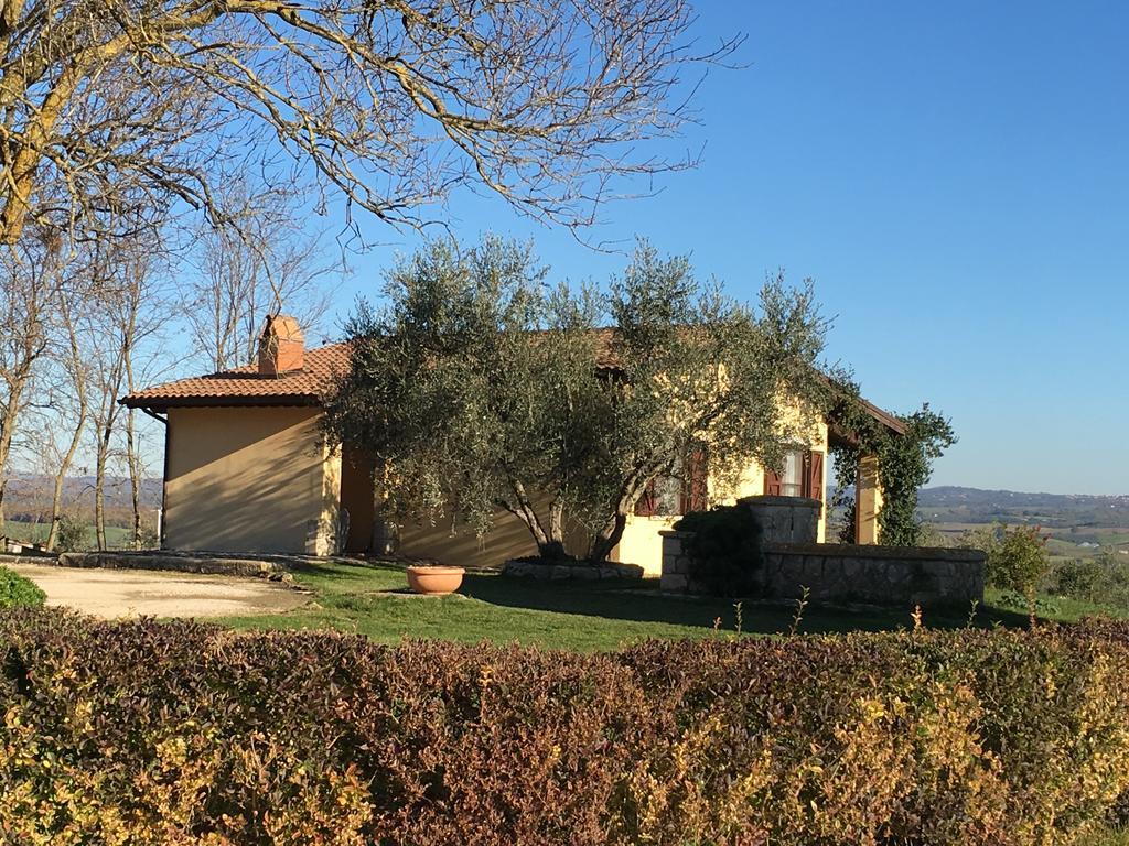 Terre Di Musignano